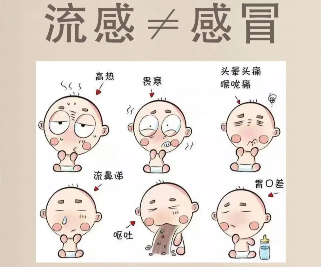 大s因流感病逝引热议,流感这个"隐形杀手"你了解多少?